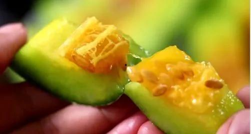 昭通网红吃瓜,揭秘网络红人的“瓜田”生活