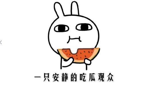 抖音网红吃瓜事件大全,揭秘网络红人的“瓜田”风云