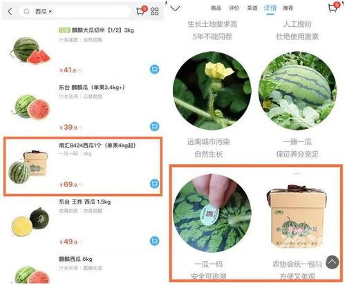数字网站吃瓜网,数字时代下的网络娱乐风向标