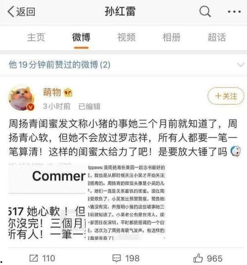 微博吃瓜网红,网红吃瓜达人带你揭秘微博幕后风云