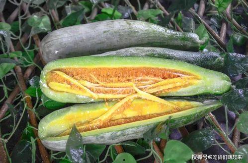 泰州网红吃瓜事件,一场网络舆论的风暴与反思
